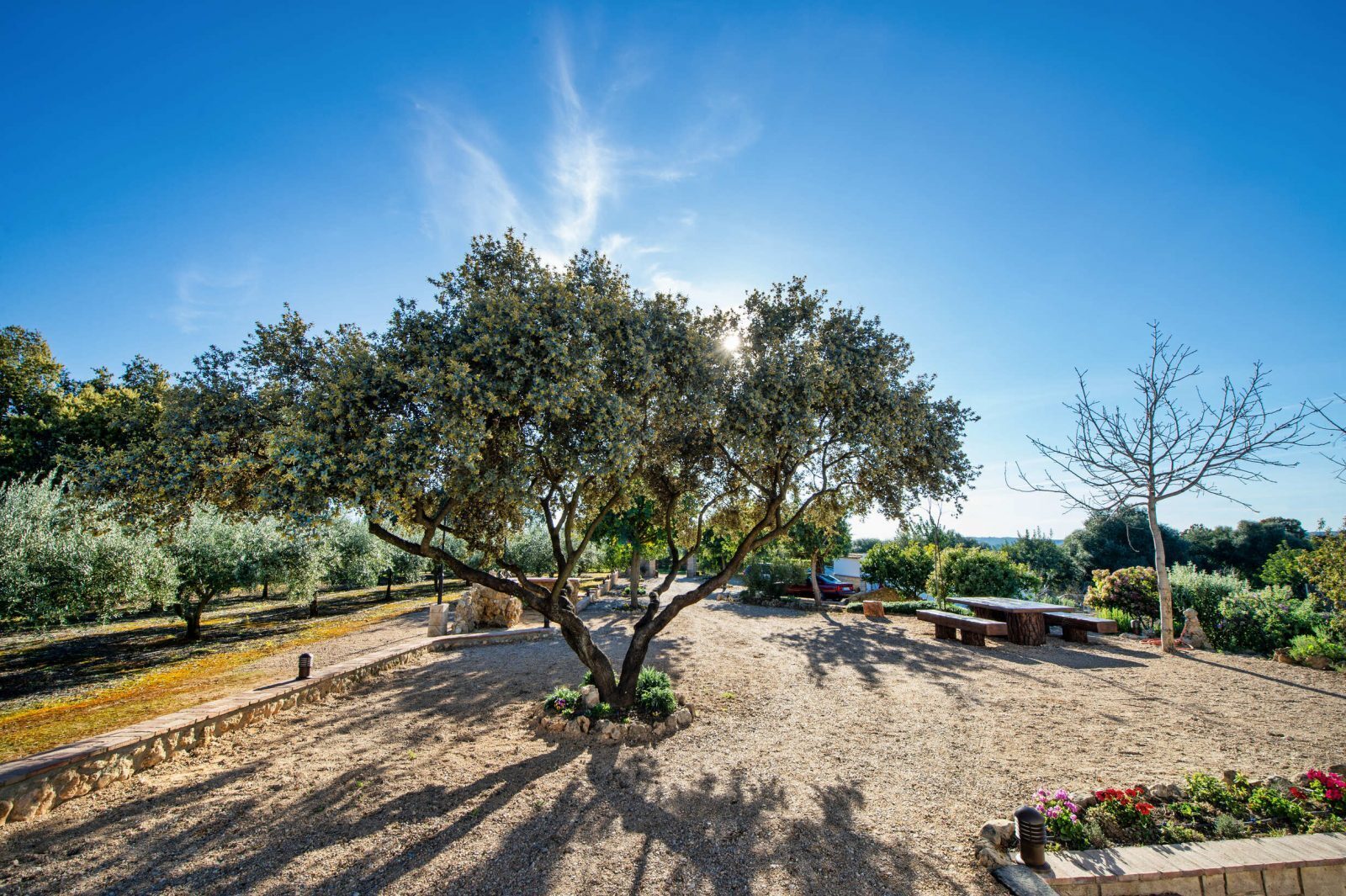 Inauguración de la Casa Rural La Garrida