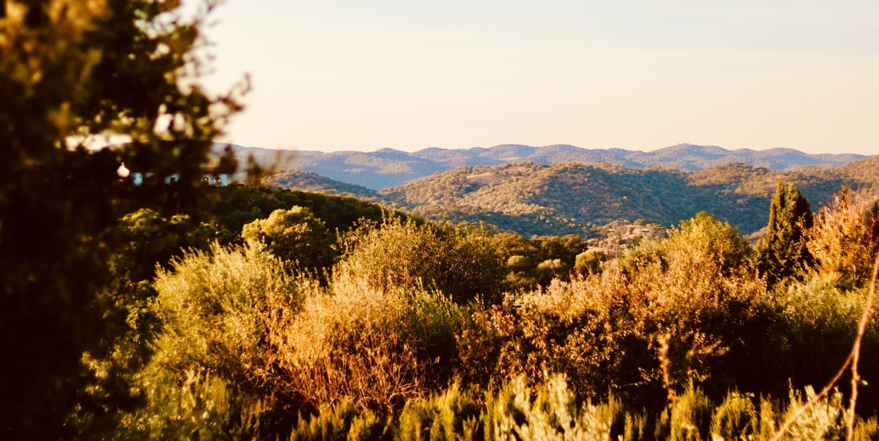 Vista de Sierra Morena desde La Garrida